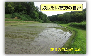 ��J�̒I�c���i