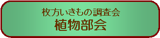 A\