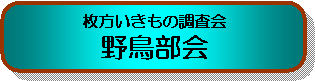 쒹\
