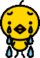 �J�b�g