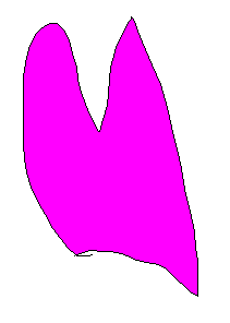 n[g