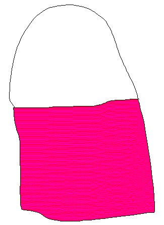 ΂