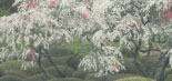 sakura03