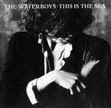 The Waterboys