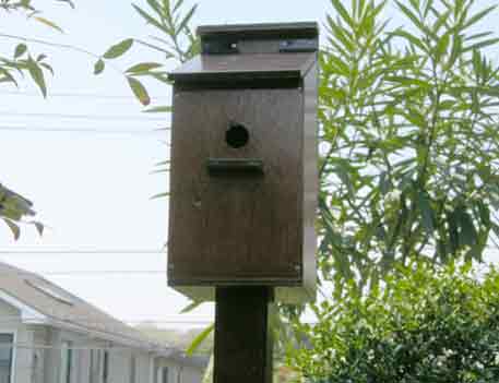 birdhouse