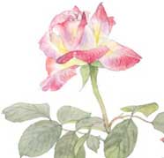 10月17日