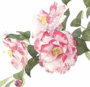 1月16日