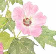 9月1日