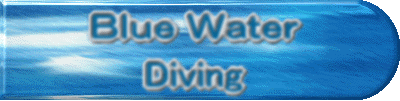 Blue WatercDiving 